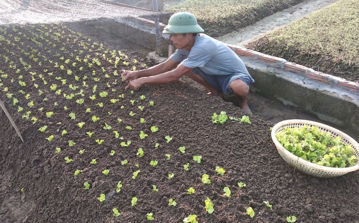 Sẵn sàng cung ứng nông sản, thực phẩm dịp tết - 1 Sẵn sàng cung ứng nông sản, thực phẩm dịp tết - 1