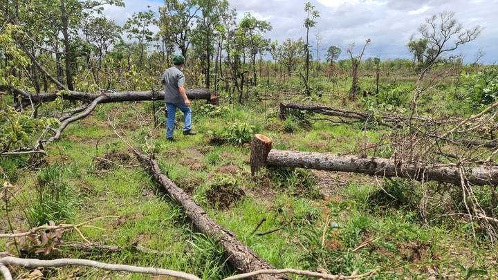 Kiểm kê rừng tại 5 tỉnh vùng Tây Nguyên - 1