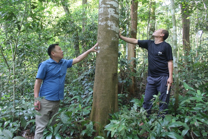 Bắt đất cằn “đẻ” ra tiền tỷ - 2