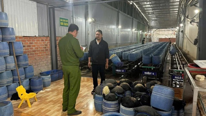 Bộ Nông Nghiệp yêu cầu báo cáo vụ giá đỗ ngâm chất cấm tại Đắk Lắk - 2 Bộ Nông Nghiệp yêu cầu báo cáo vụ giá đỗ ngâm chất cấm tại Đắk Lắk - 2