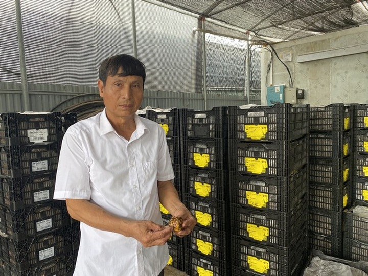 Tuổi già nhưng chí không già - 1