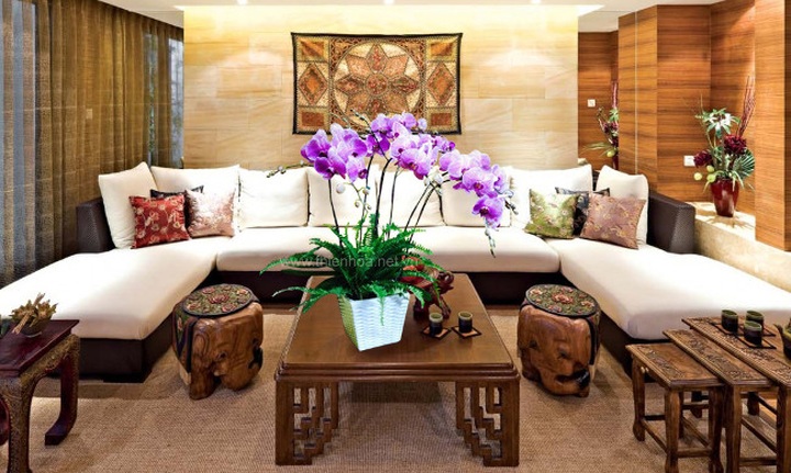 6 loại cây cảnh nhỏ xinh nên chơi tết để đem lại may mắn, tài lộc - 3