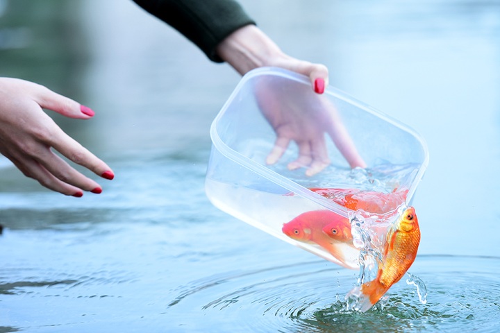 Mâm cỗ chuẩn và 2 điều cấm kỵ khi cúng ông Công ông Táo - 2