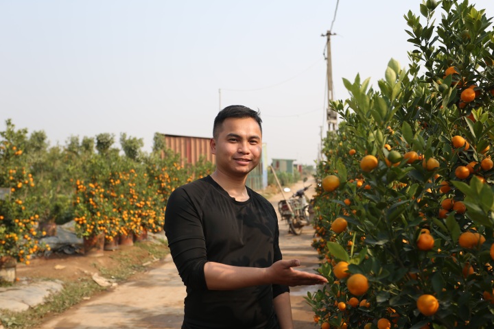 Nỗi buồn của những người nông dân trồng đào, quất - 1 Nỗi buồn của những người nông dân trồng đào, quất - 1