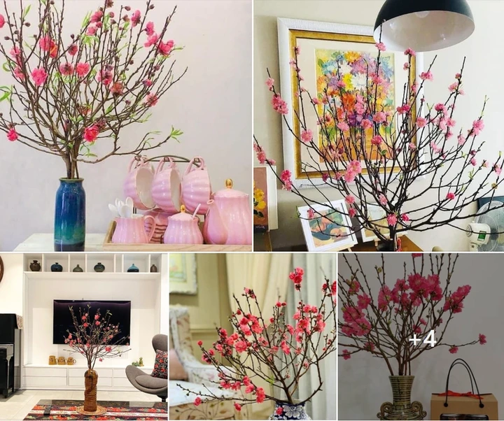 Ý nghĩa phong thủy và cách cắm đào, cành tuyết mai nở đẹp, tươi lâu - 3