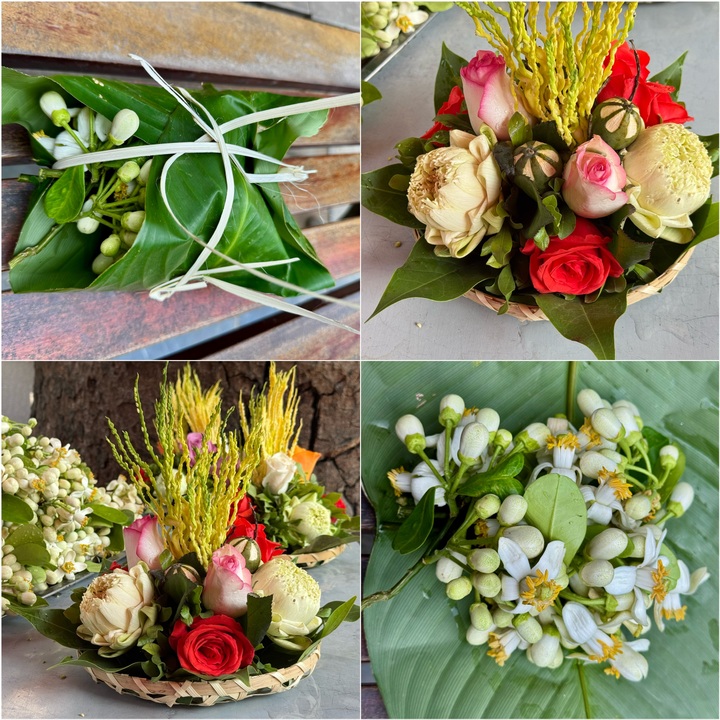 Thanh tao hương hoa đĩa của người Hà Nội - 1 Thanh tao hương hoa đĩa của người Hà Nội - 1