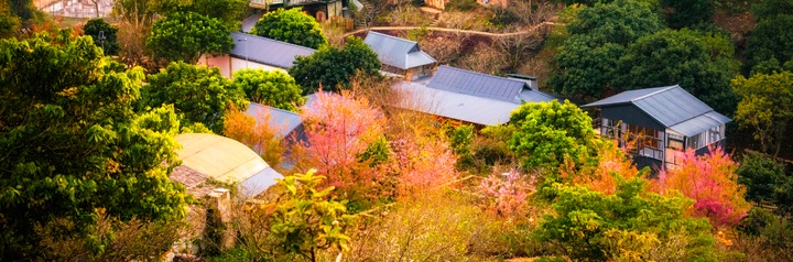 Gìn giữ Tết dưới mái nhà! - 2