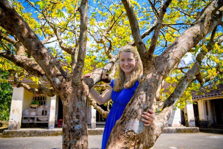 Mai vàng làng cổ Lộc Yên - 4