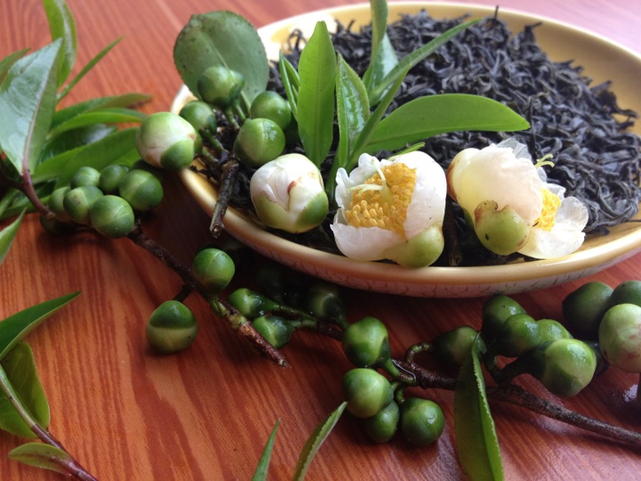 Hoa trà thơm và phương trời mây nắng mỗi độ Xuân về - 2