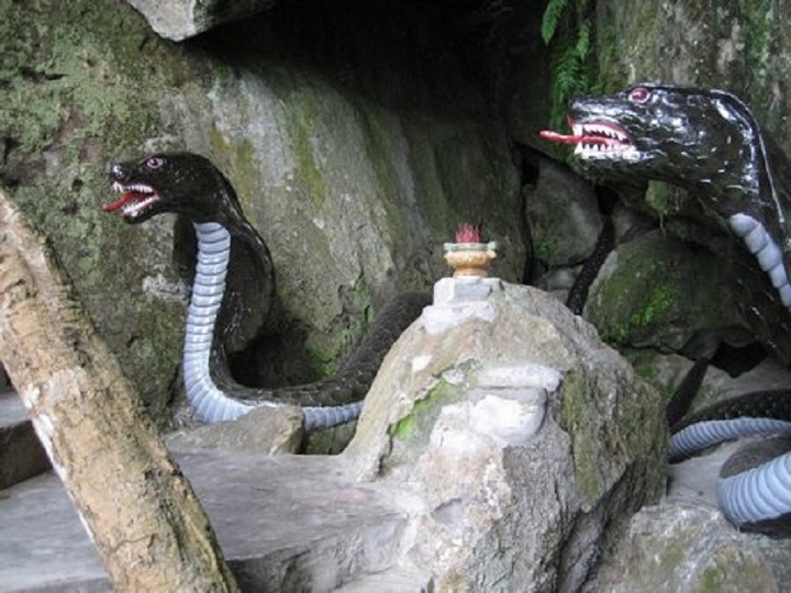 Bí ẩn chuyện mãng xà khổng lồ ở Thất Sơn - 1