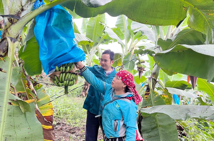 Ưu tiên bố trí vốn thực hiện chương trình giảm nghèo - 1