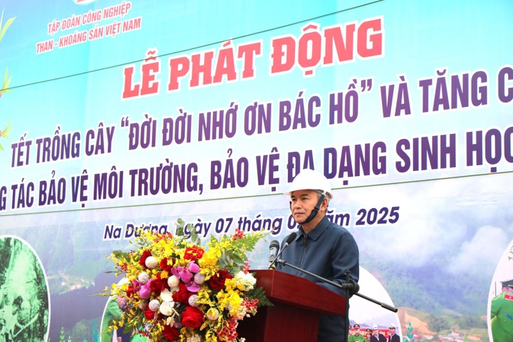 TKV phát động Tết trồng cây, "xanh hóa" môi trường khai thác mỏ - 1