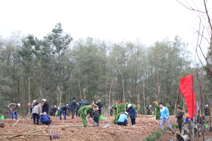 TKV phát động Tết trồng cây, "xanh hóa" môi trường khai thác mỏ - 5