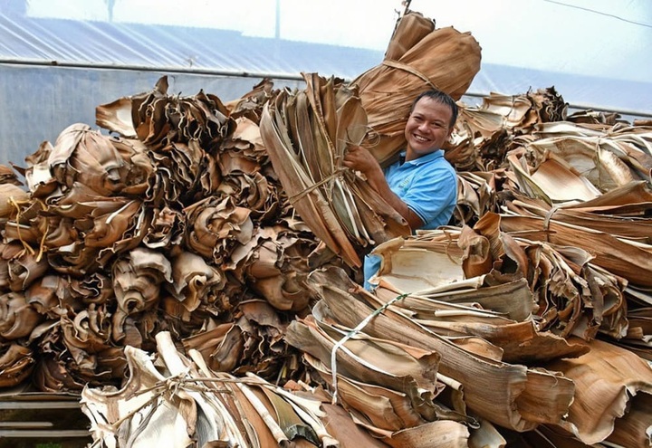 Người đưa mo cau ra thế giới - 1