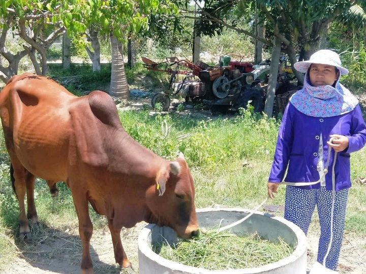 Vốn chính sách giúp gần 6,8 triệu hộ vượt ngưỡng nghèo - 1 Vốn chính sách giúp gần 6,8 triệu hộ vượt ngưỡng nghèo - 1