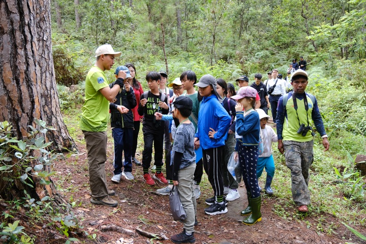 Du lịch sinh thái rừng: Hướng đi bền vững giúp người dân nâng cao thu nhập - 1