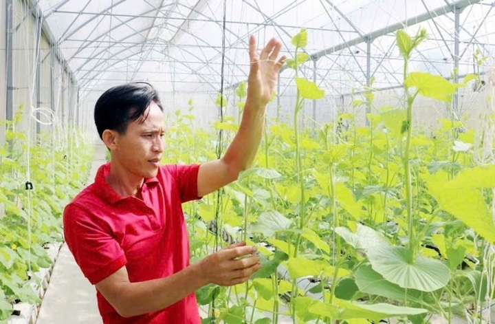 Thành phố Long Khánh đặt ra mục tiêu năm 2025 giảm 15% hộ nghèo - 1