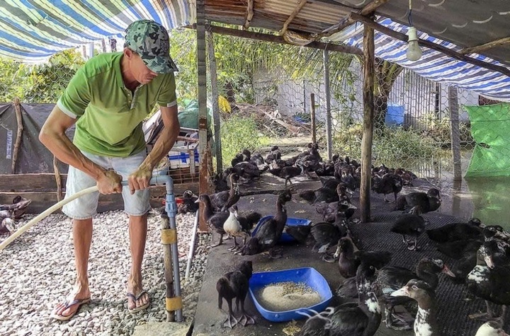 Cà Mau: Tạo sinh kế giúp người dân thoát nghèo bền vững - 1 Cà Mau: Tạo sinh kế giúp người dân thoát nghèo bền vững - 1