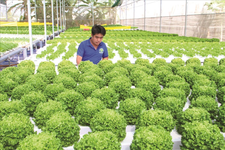 Tận dụng nội lực, huy động nguồn lực cho giảm nghèo bền vững - 1