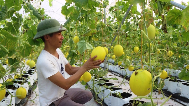 Nam Định: Hiện thực hoá mục tiêu giảm nghèo đa chiều - 1