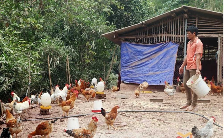 Quảng Ninh: Trao “cần câu” giúp người dân thoát nghèo - 1