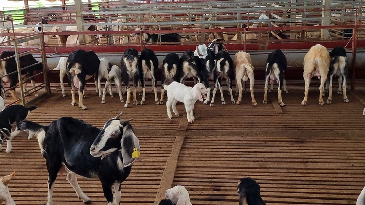 Ninh Bình: Nhiều chính sách thiết thực, hiệu quả hỗ trợ giảm nghèo - 1