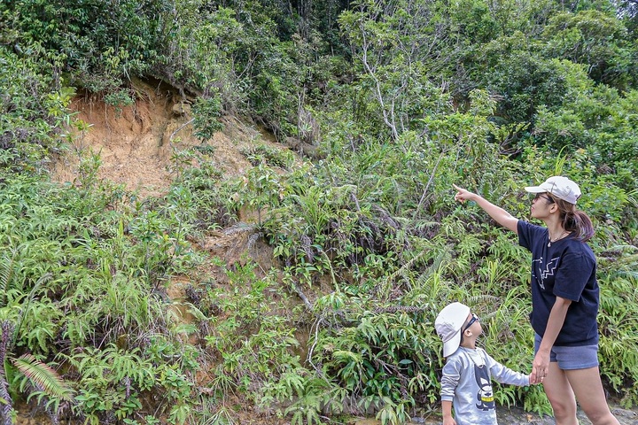 Son Tra Mountain at high risk of landslides - 3