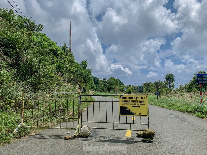 Son Tra Mountain at high risk of landslides - 4