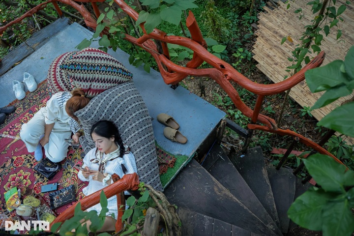 Tropical rainforest-style coffee shop draws customers - 5 Tropical rainforest-style coffee shop draws customers - 5