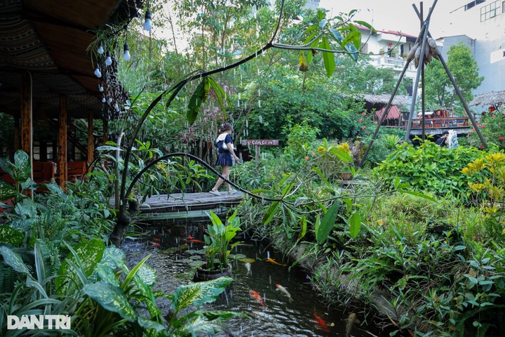 Tropical rainforest-style coffee shop draws customers - 7 Tropical rainforest-style coffee shop draws customers - 7