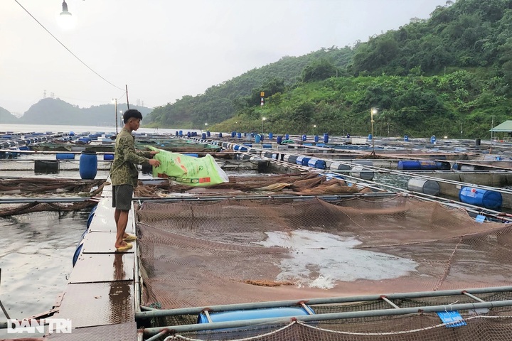 Significant progress in fisheries' environmental protection but challenges - 1