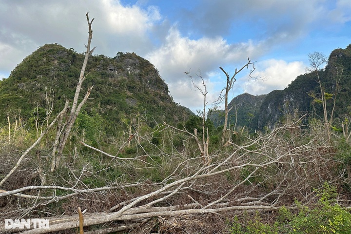 Cat Ba National Park remains devastated after Typhoon Yagi - 3