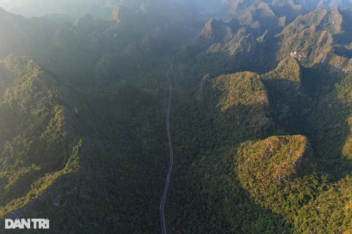 Cat Ba National Park remains devastated after Typhoon Yagi - 4