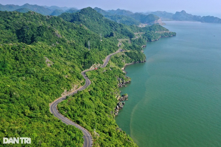 Cat Ba National Park remains devastated after Typhoon Yagi - 6