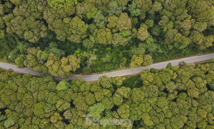 Beauty of primaeval forest in Nghe An - 5 Beauty of primaeval forest in Nghe An - 5