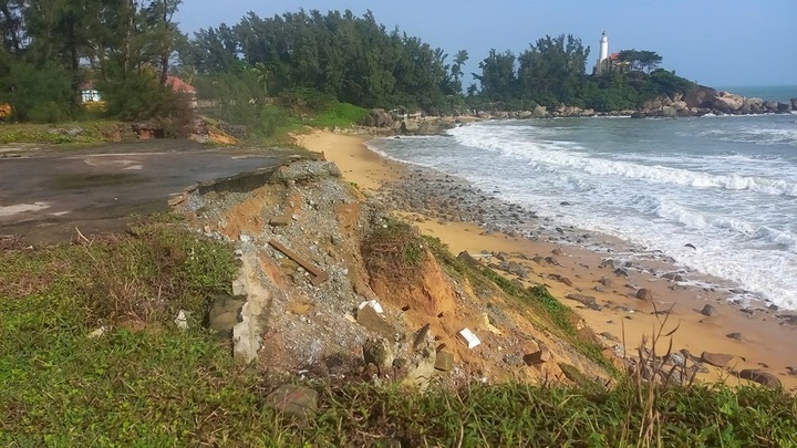 Quang Ngai coastline struggles with severe erosion - 1