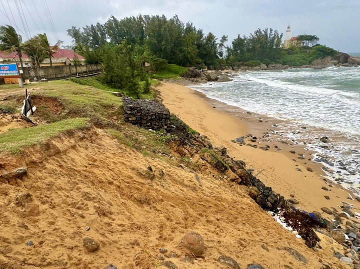 Quang Ngai coastline struggles with severe erosion - 2