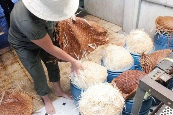 Four arrested for producing tonnes of toxic bean sprouts - 2