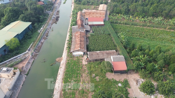 Hanoi river struggles with severe pollution - 5