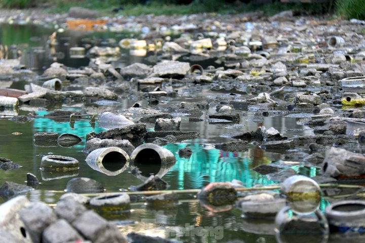 Hanoi collects West Lake rubbish - 6