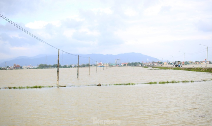 Prolonged rains flood Binh Dinh fields - 2
