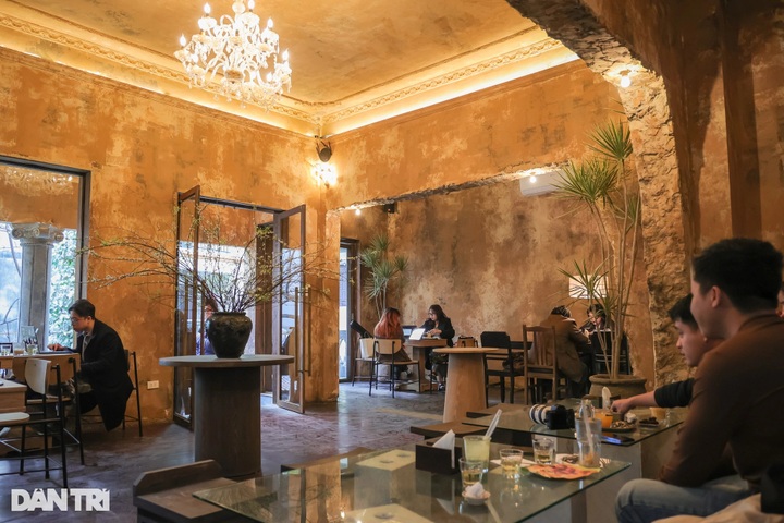 Hanoi café showcasing dinosaur skeleton captivates visitors - 6 Hanoi café showcasing dinosaur skeleton captivates visitors - 6