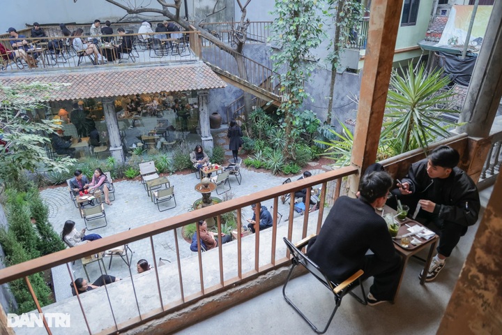 Hanoi café showcasing dinosaur skeleton captivates visitors - 5 Hanoi café showcasing dinosaur skeleton captivates visitors - 5