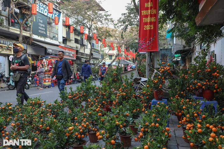 Famous Hanoi flower market attracts Tet shoppers - 4 Famous Hanoi flower market attracts Tet shoppers - 4