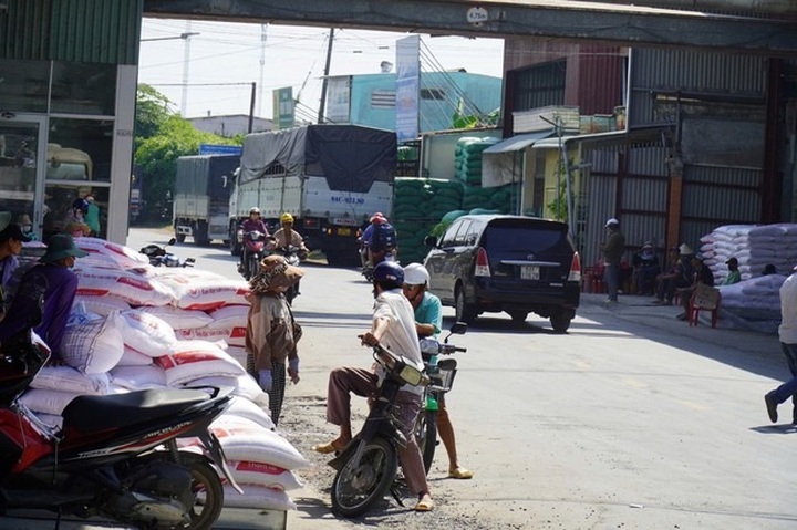 Thousands rush to stockpile rice amid falling prices - 1 Thousands rush to stockpile rice amid falling prices - 1