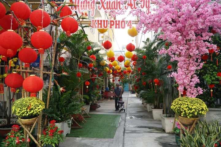 HCM City alleys get new face for Tet - 5 HCM City alleys get new face for Tet - 5
