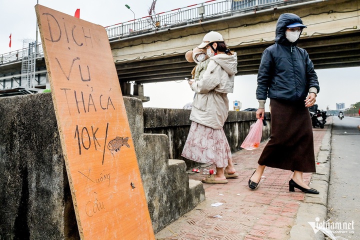 Carp-release service thrives in Nam Dinh - 3 Carp-release service thrives in Nam Dinh - 3