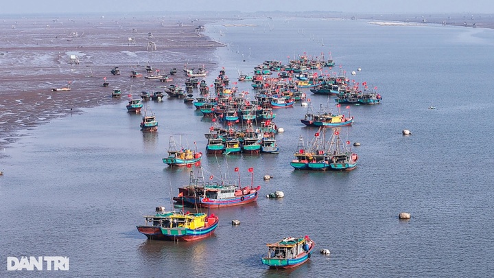 Nam Dinh fishermen enjoy big catches on first lunar year trips - 1