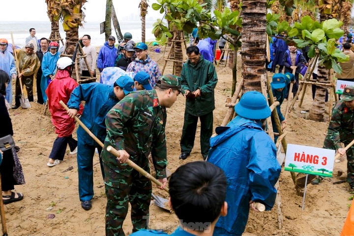 Hundreds of people plant trees on Danang’s coastal road - 4
