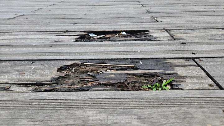 Wooden pedestrian bridge over Huong River deteriorates - 5
